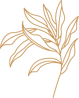 Artistic drawing of a leaf